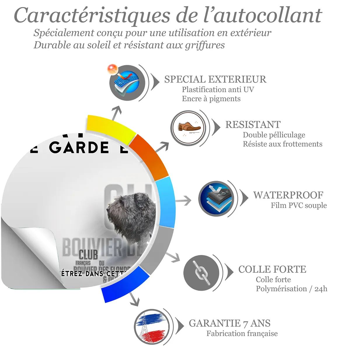 Sticker Trois Bouvier des Flandres et des Ardennes en portrait