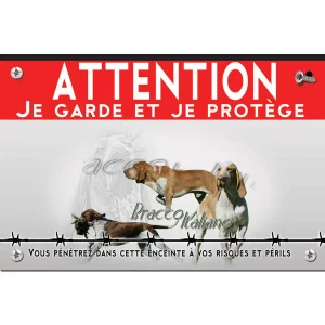 Signalisation personnalisee Bracco Italiano en mouvement et en gros plan