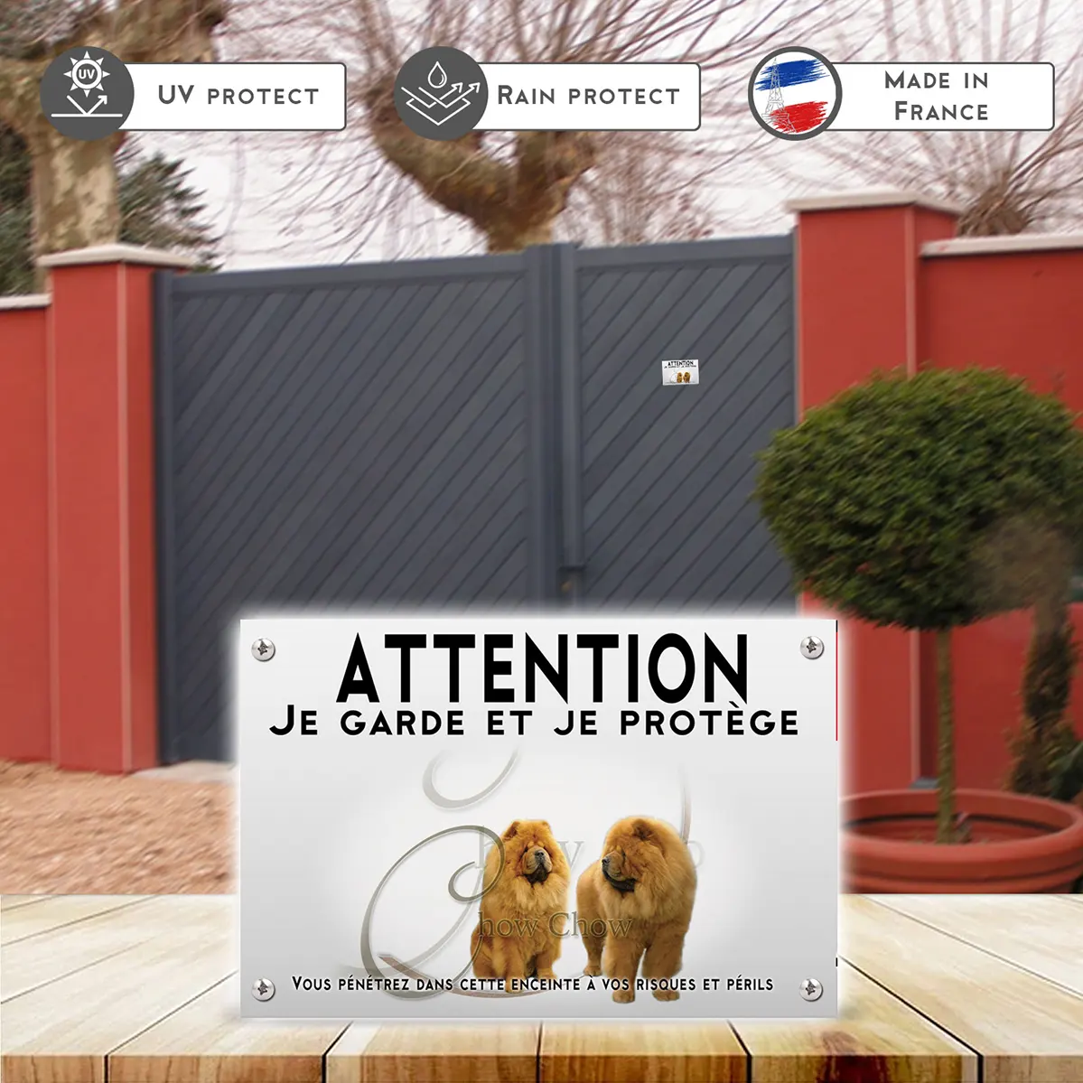 Plaques Deux chiens Chow Chow avec une fourrure dense et dorée