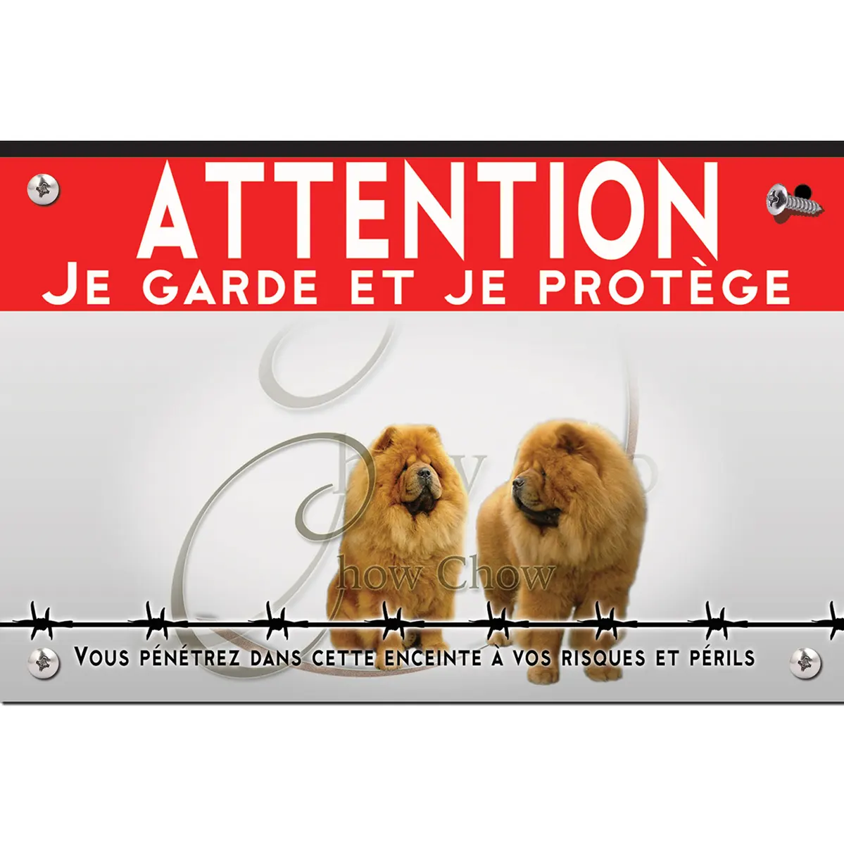 Signalisation personnalisee Deux chiens Chow Chow avec une fourrure dense et dorée