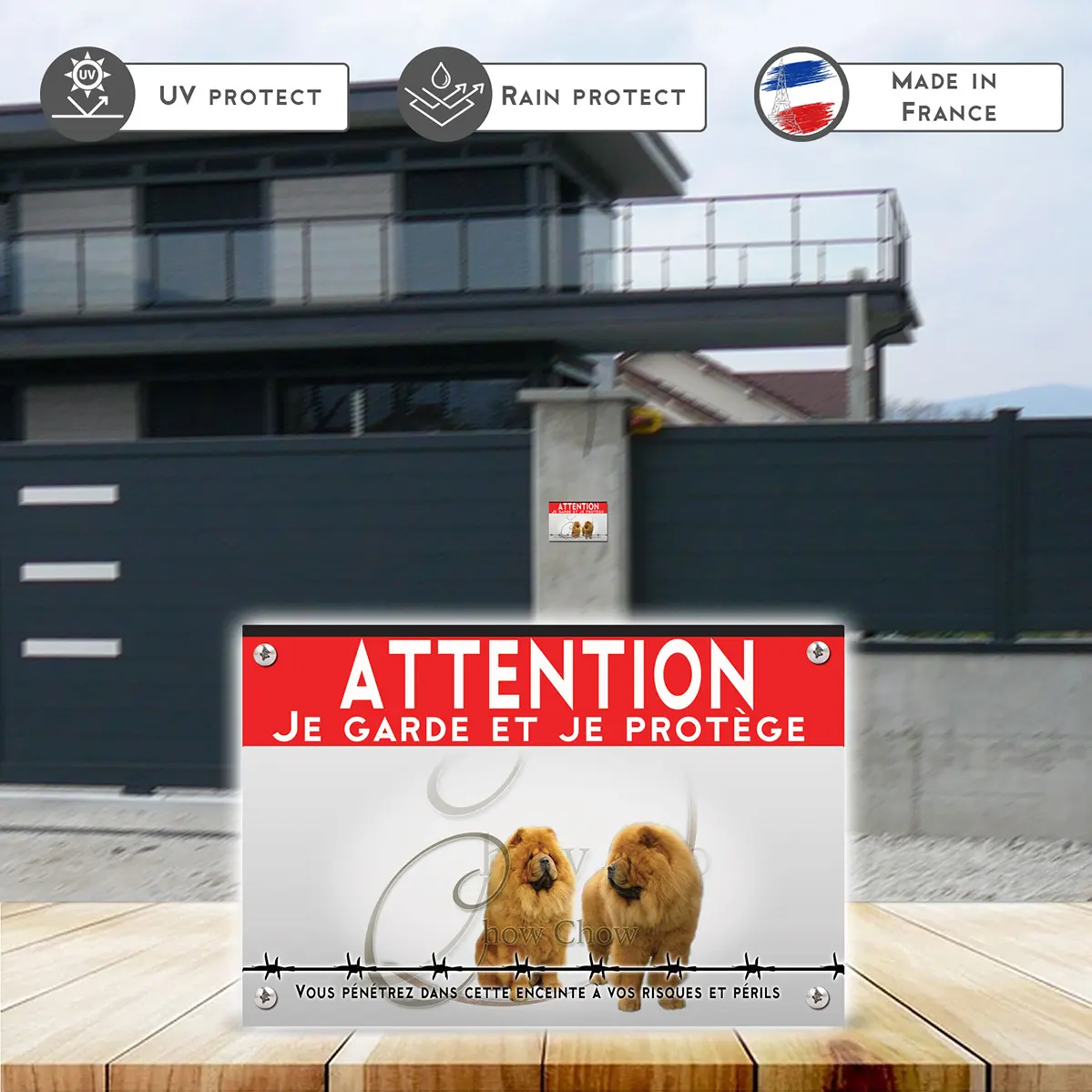 Grande pancarte Deux chiens Chow Chow avec une fourrure dense et dorée