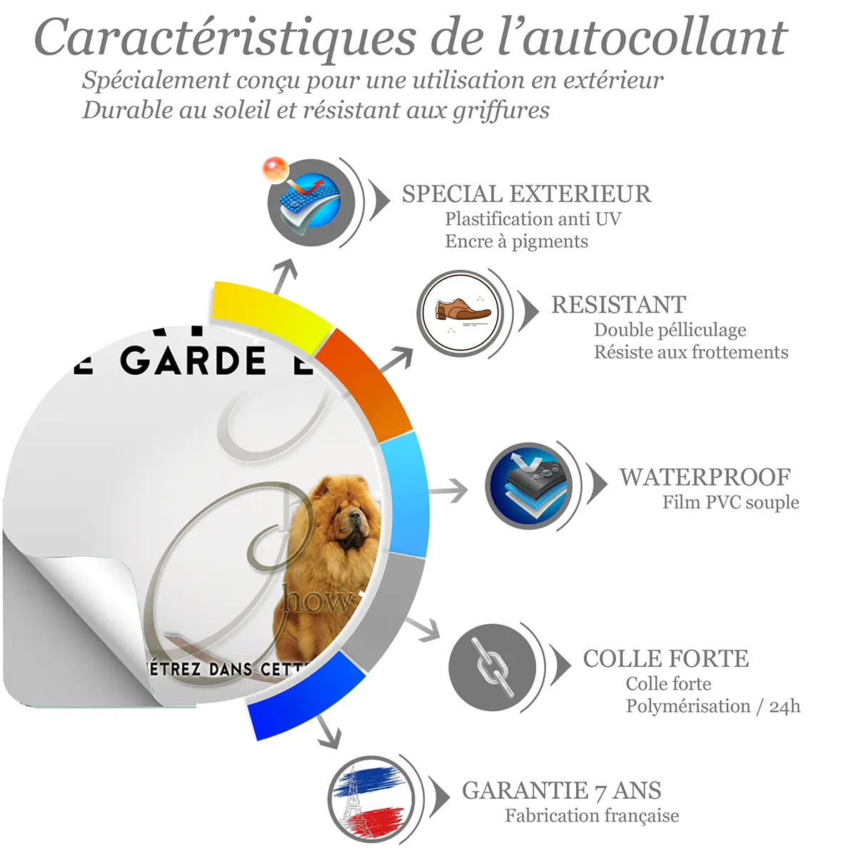 Sticker Deux chiens Chow Chow avec une fourrure dense et dorée