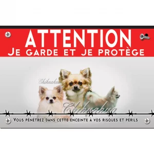 Signalisation personnalisee Collage de plusieurs Chihuahuas aux pelages variés