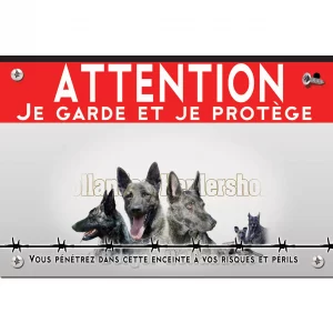 Signalisation personnalisee Trois chiens Berger Hollandais en gros plan