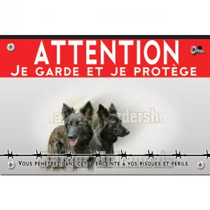 Signalisation personnalisee Deux chiens de race Berger Hollandais avec un fond dégradé