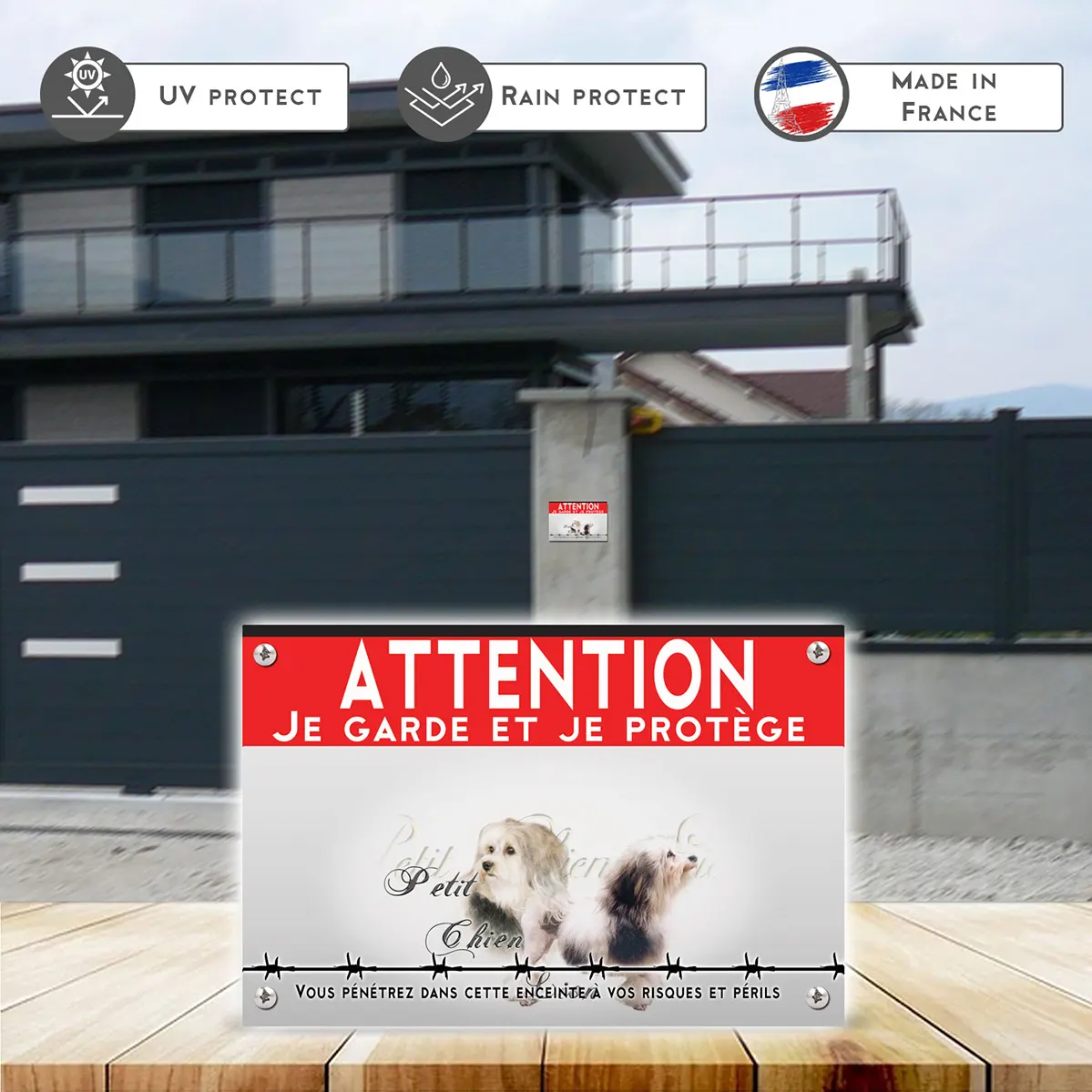 Grande pancarte Deux Petit Chien Lion avec un fond coloré