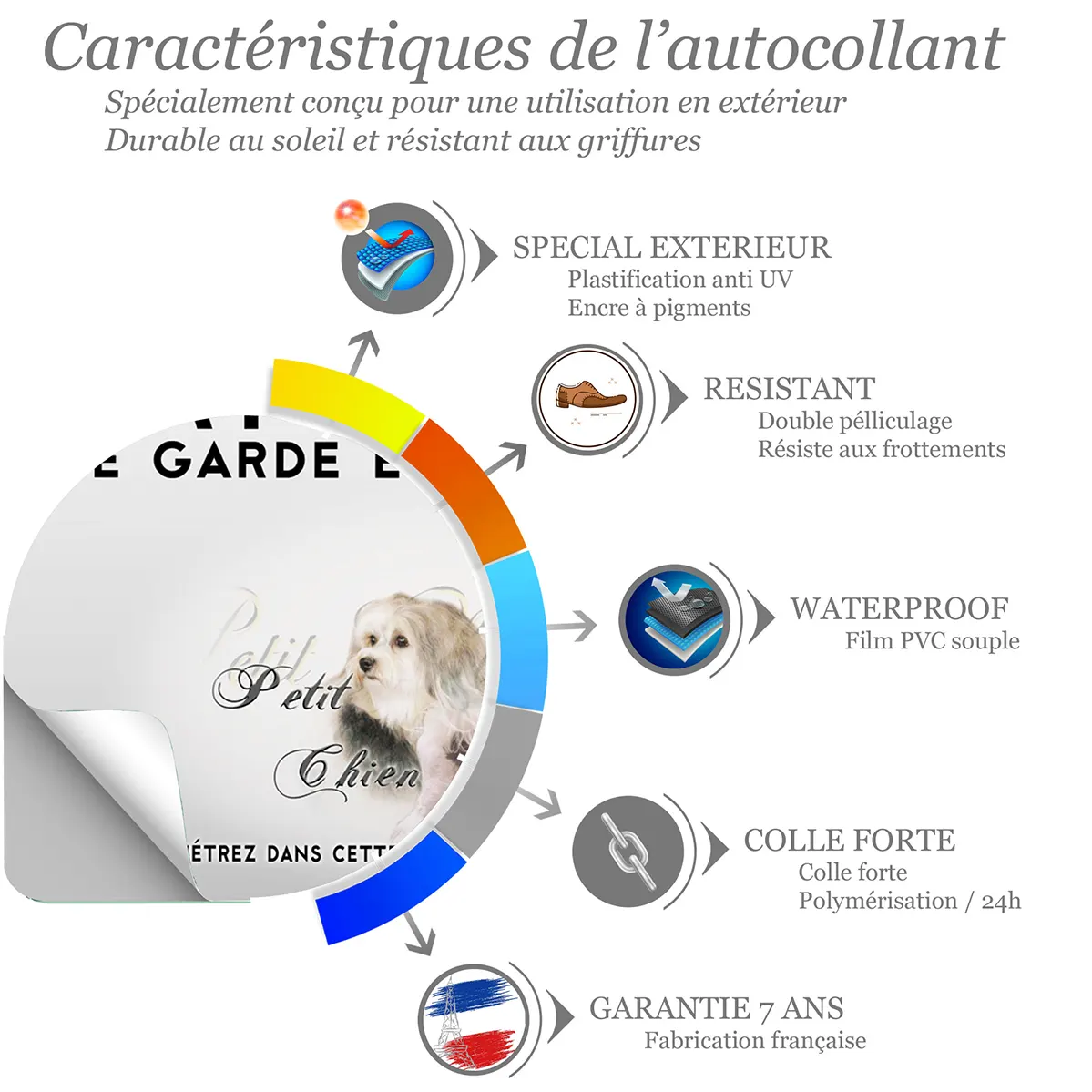 Sticker Deux Petit Chien Lion avec un fond coloré