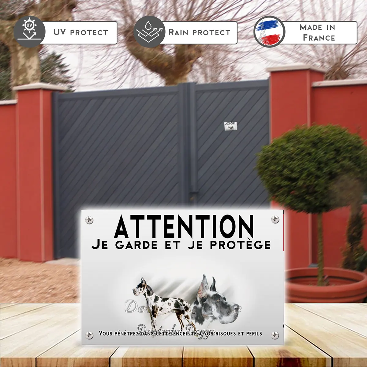 Plaques Deutsche Dogge avec un chien entier et une tête en gros plan