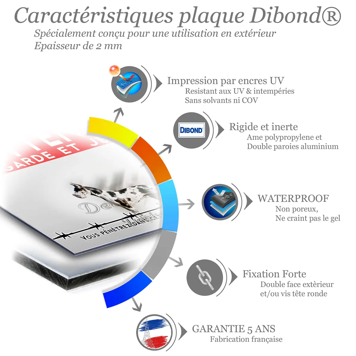 Panneau personnalise Deutsche Dogge avec un chien entier et une tête en gros plan