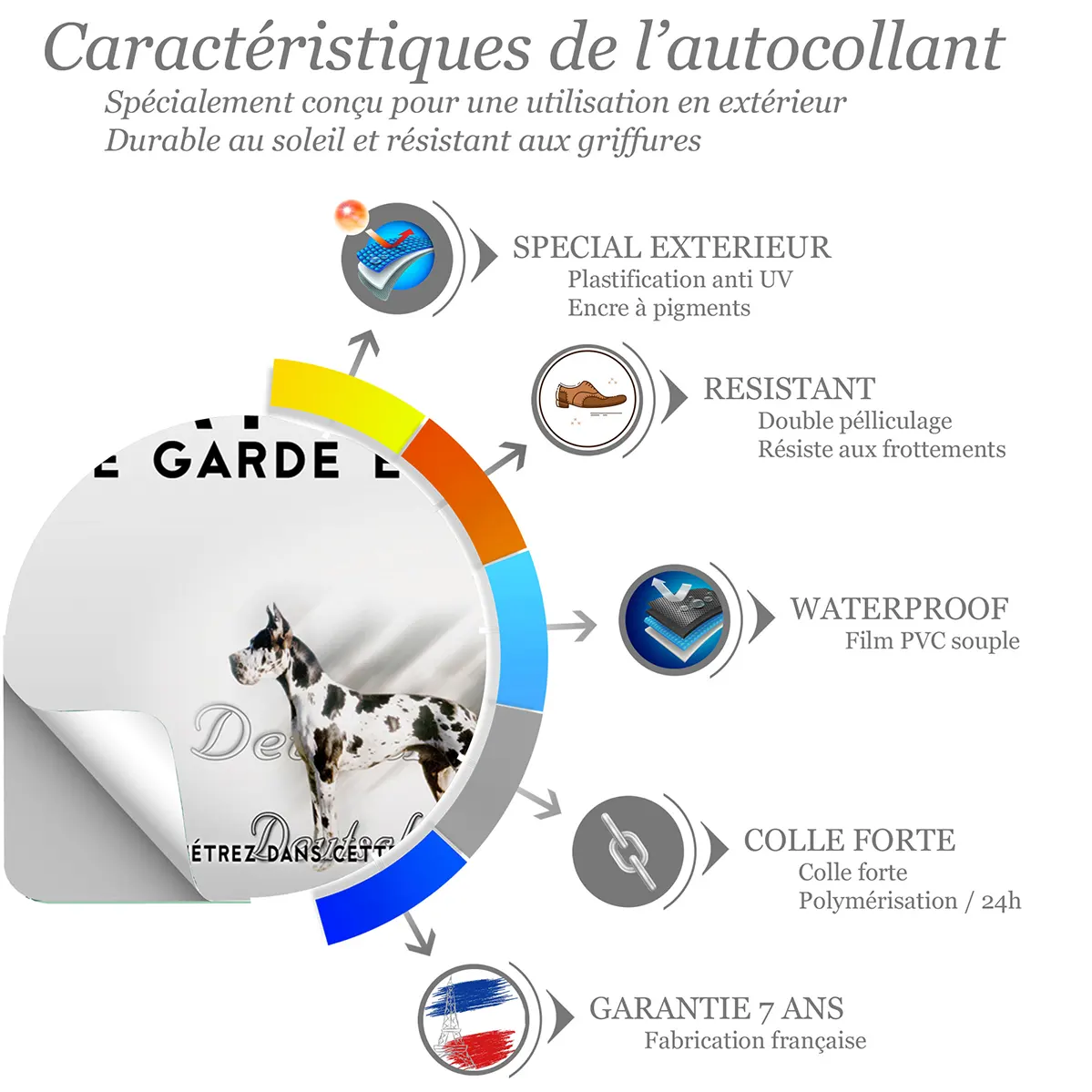 Sticker Deutsche Dogge avec un chien entier et une tête en gros plan