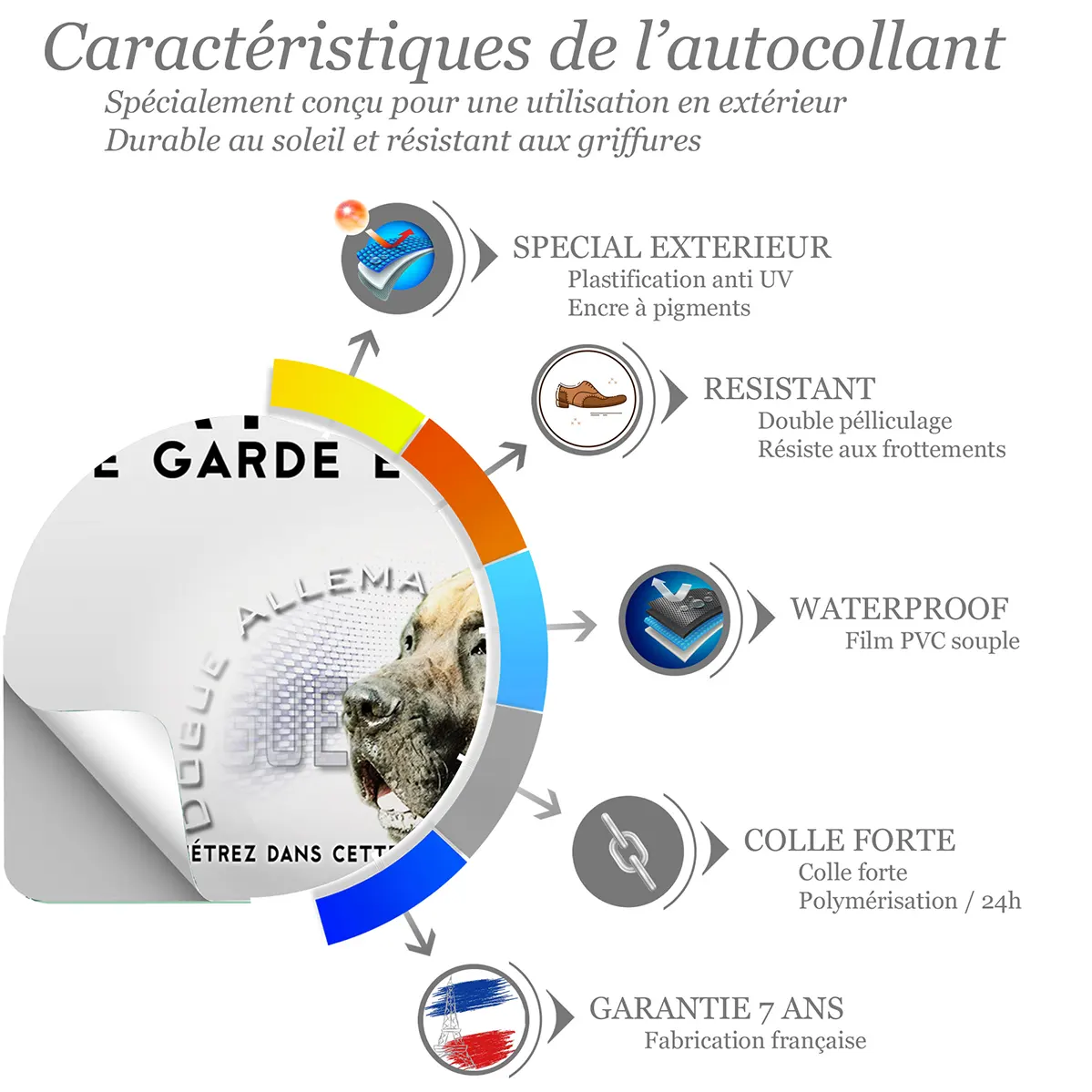 Sticker Dogue Allemand avec fond en couleur vive