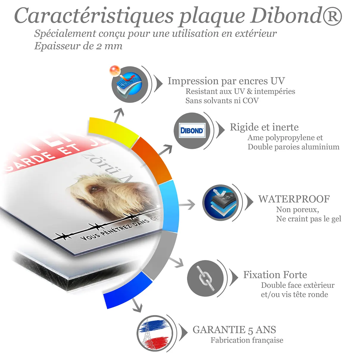 Panneau personnalise Braque Hongrois avec un chien en gros plan et entier