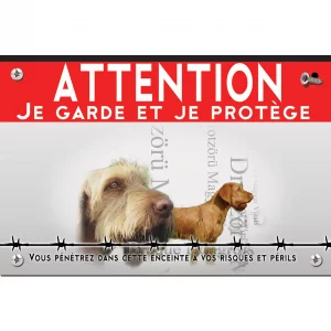 Signalisation personnalisee Braque Hongrois avec un chien en gros plan et entier