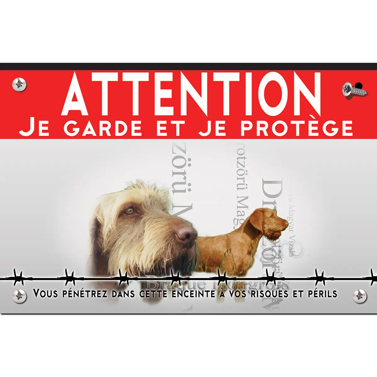 Signalisation personnalisee Braque Hongrois avec un chien en gros plan et entier