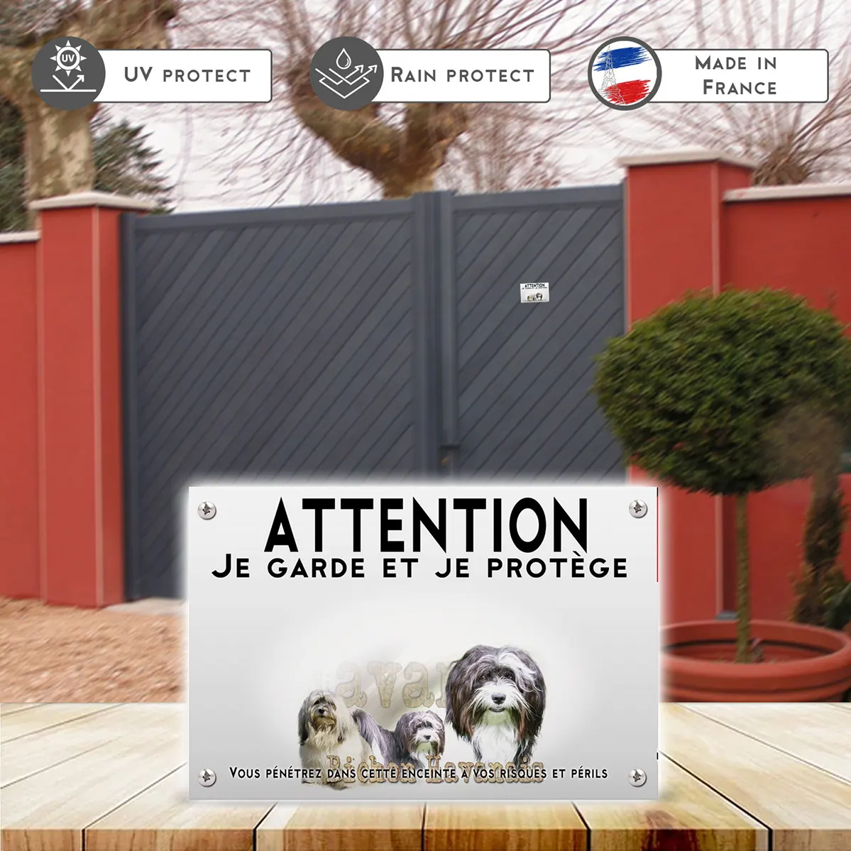 Plaques Trois Bichons Havanais sur fond coloré