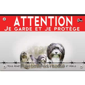Signalisation personnalisee Trois Bichons Havanais sur fond coloré