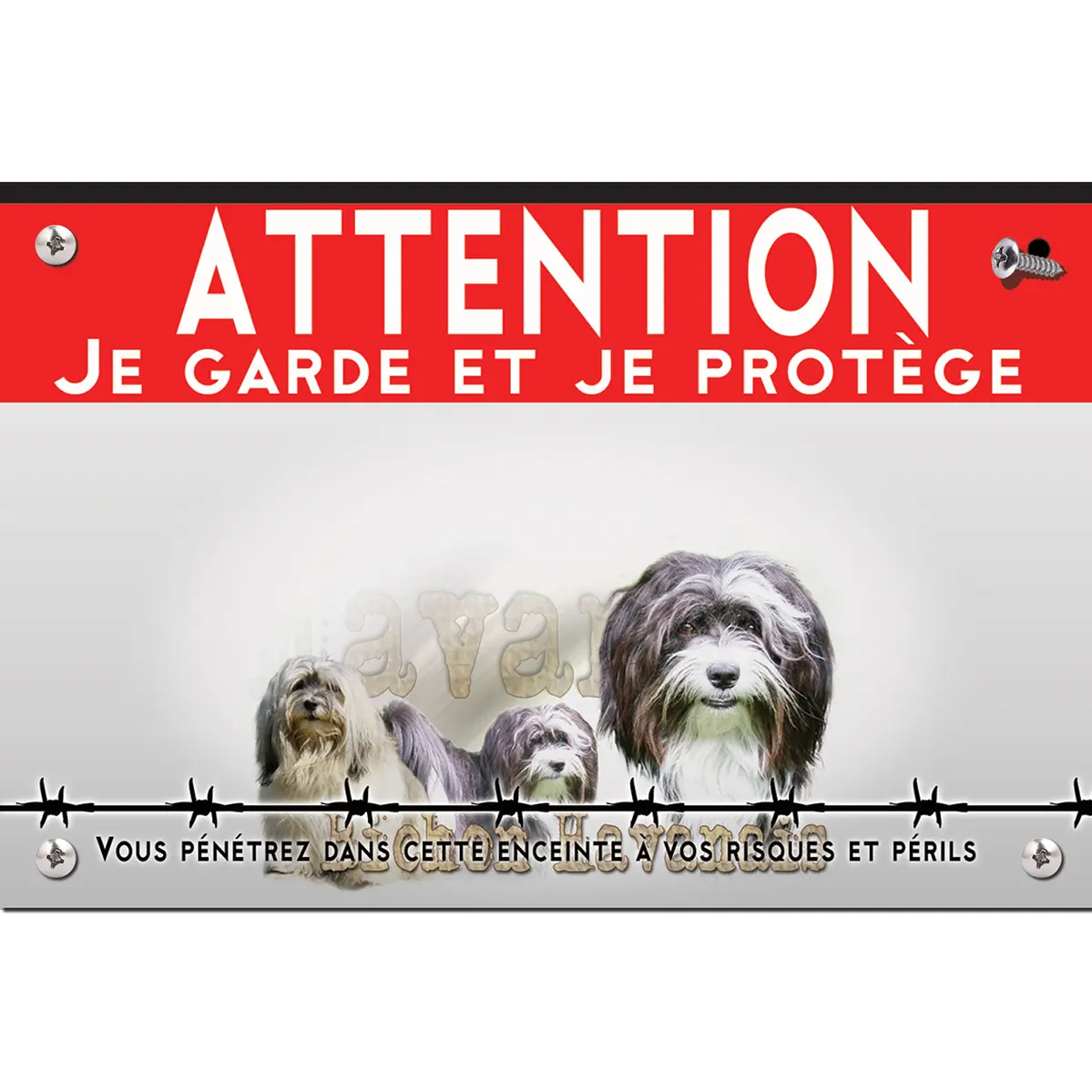 Signalisation personnalisee Trois Bichons Havanais sur fond coloré