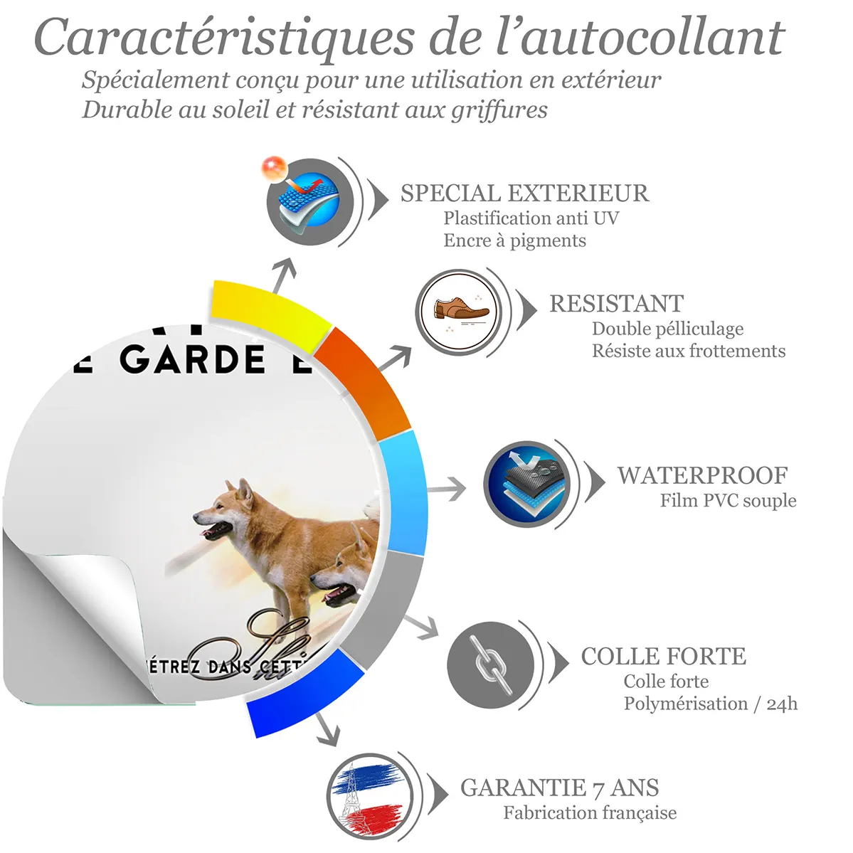 Sticker Trois Shiba Inu sur un fond flou