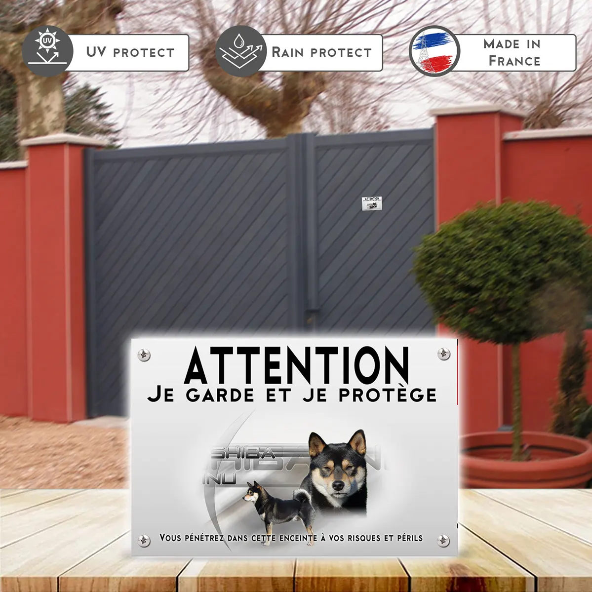 Plaques Illustration d'un Shiba Inu avec un fond coloré