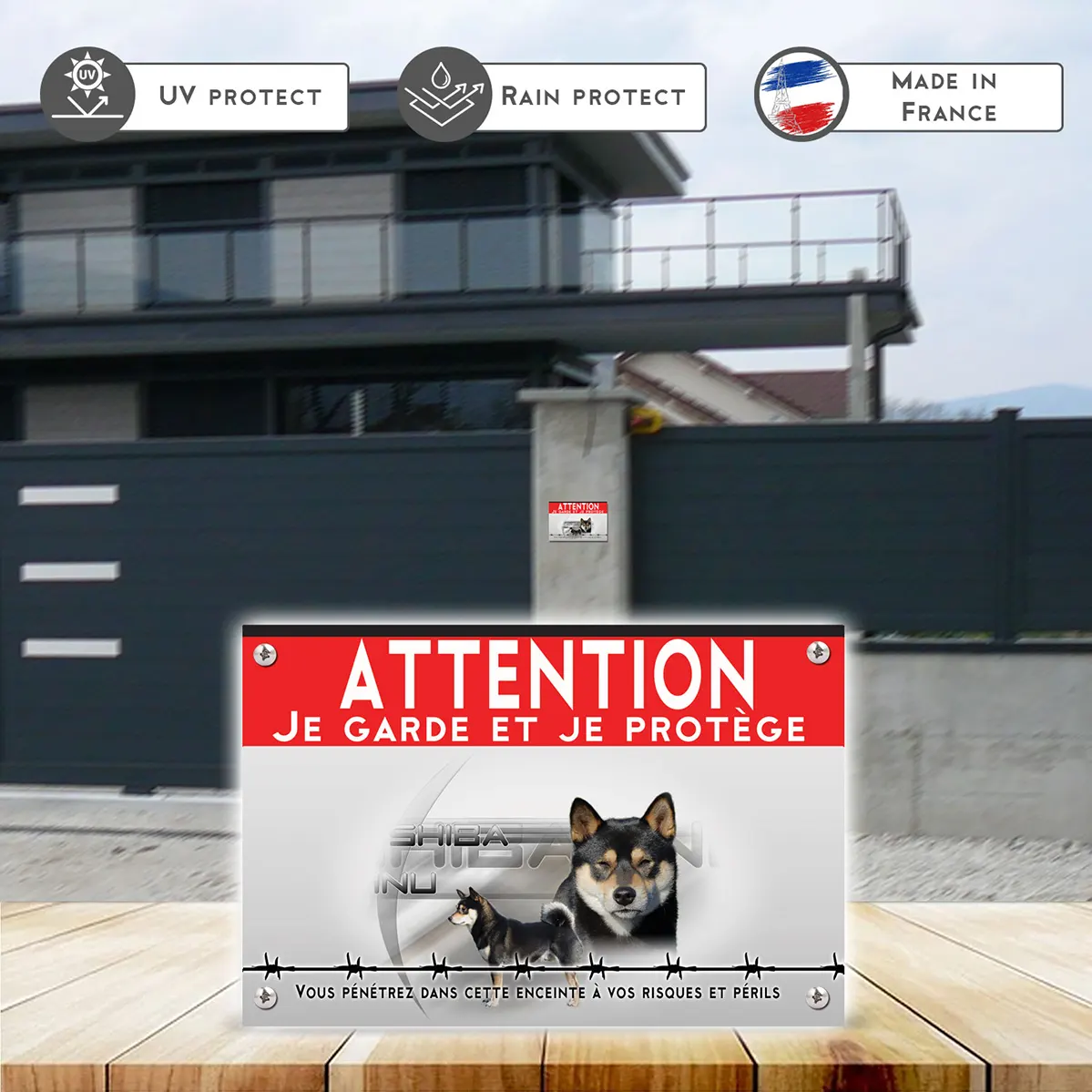 Grande pancarte Illustration d'un Shiba Inu avec un fond coloré