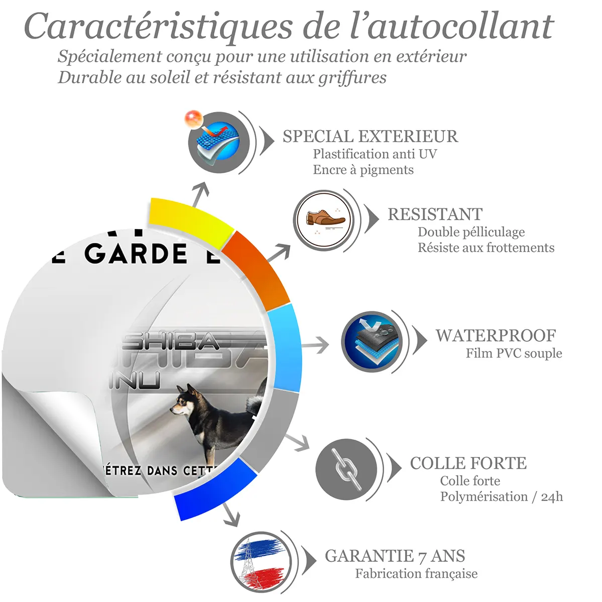 Sticker Illustration d'un Shiba Inu avec un fond coloré