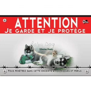 Signalisation personnalisee Deux chiots Siberian Husky jouent sur l'herbe verte
