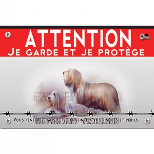 Signalisation personnalisee Deux Bearded Collies avec un pelage soyeux