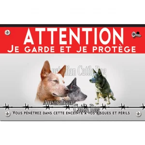 Signalisation personnalisee Trois Australian Cattle Dogs avec arrière plan coloré
