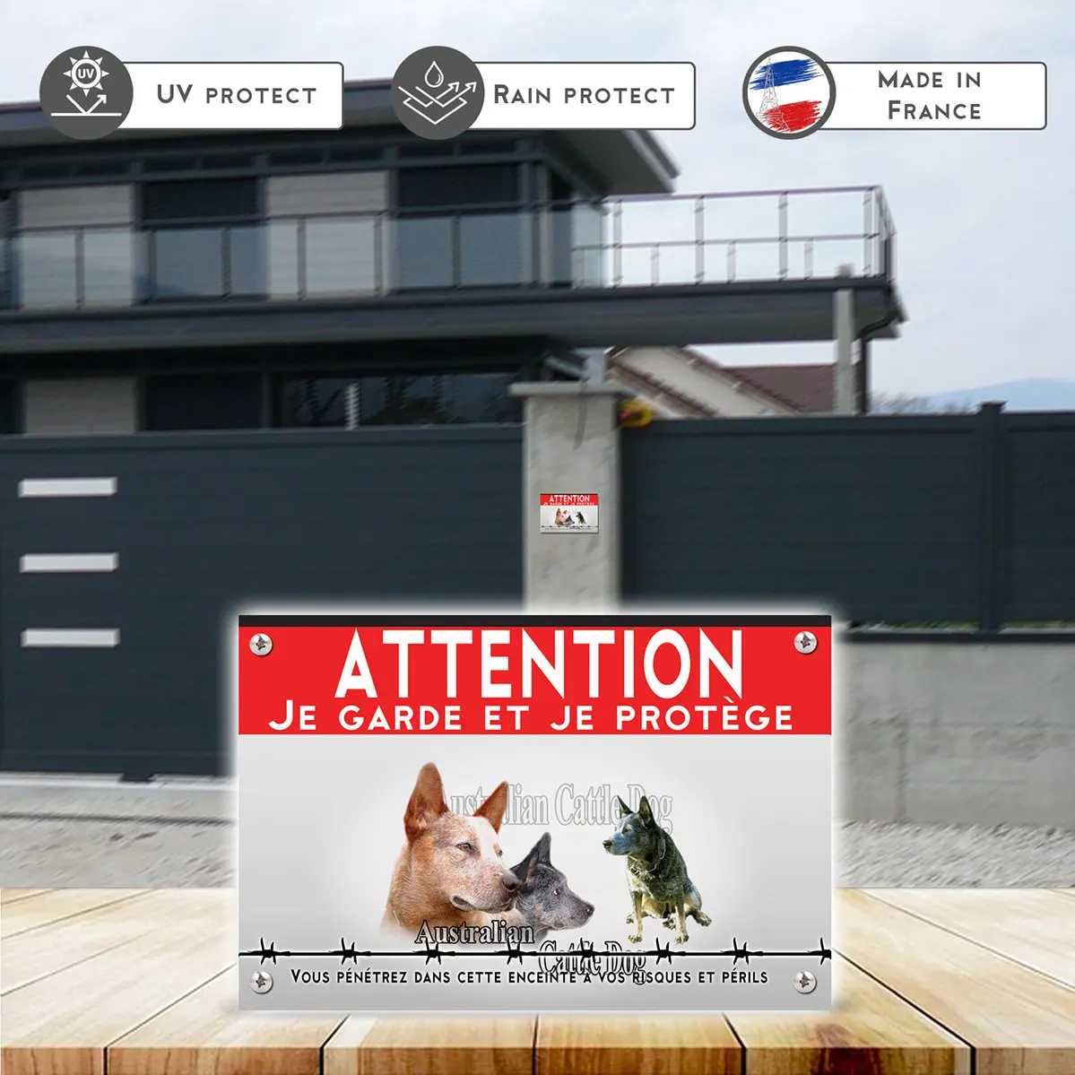 Grande pancarte Trois Australian Cattle Dogs avec arrière plan coloré