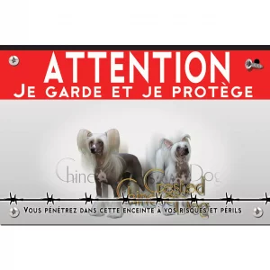 Signalisation personnalisee Deux chiens Crested Chinese avec des poils longs et soyeux