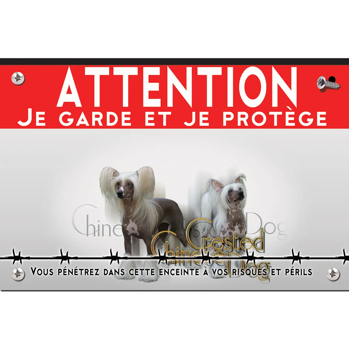 Signalisation personnalisee Deux chiens Crested Chinese avec des poils longs et soyeux