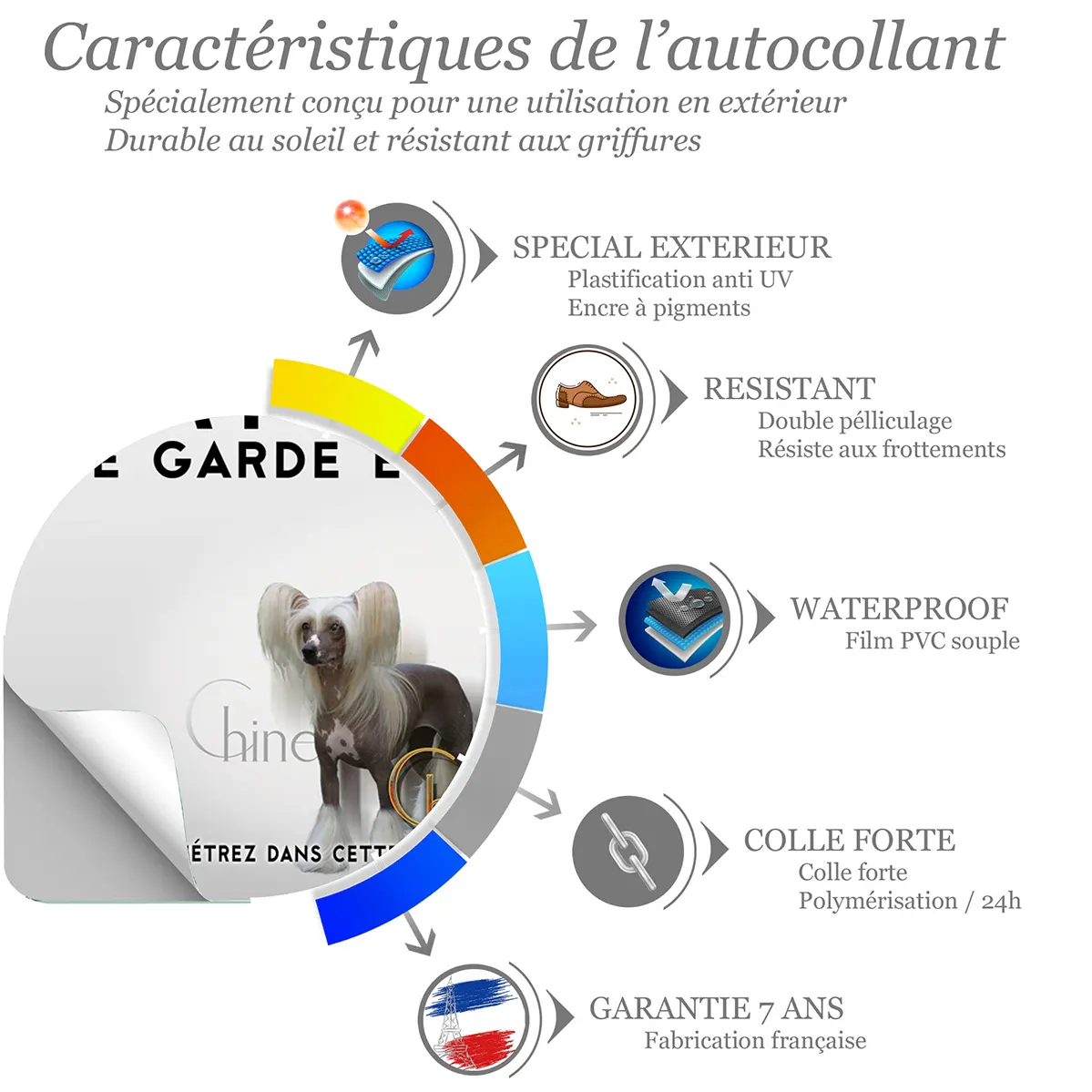 Sticker Deux chiens Crested Chinese avec des poils longs et soyeux