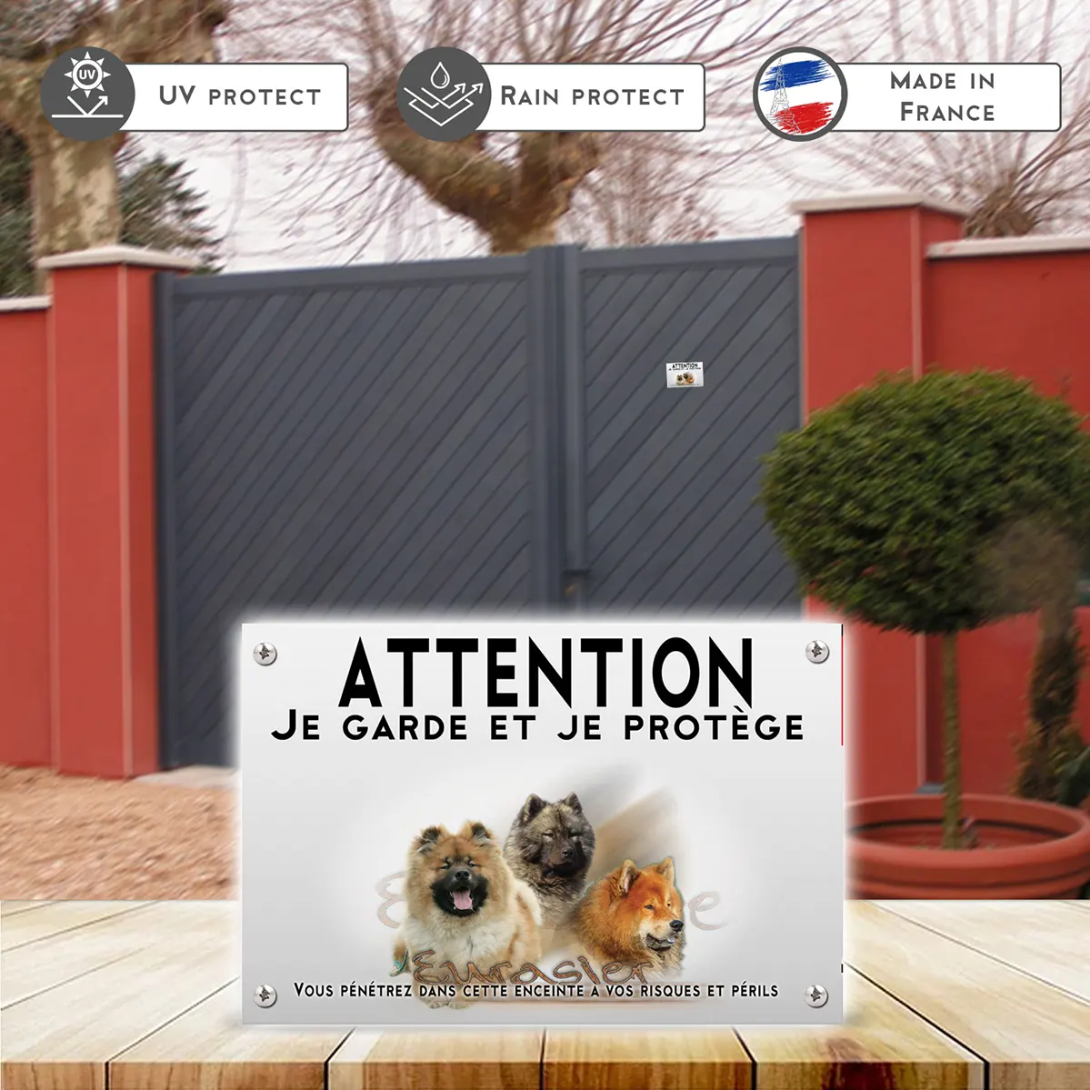 Plaques Trois Eurasier avec différents pelages