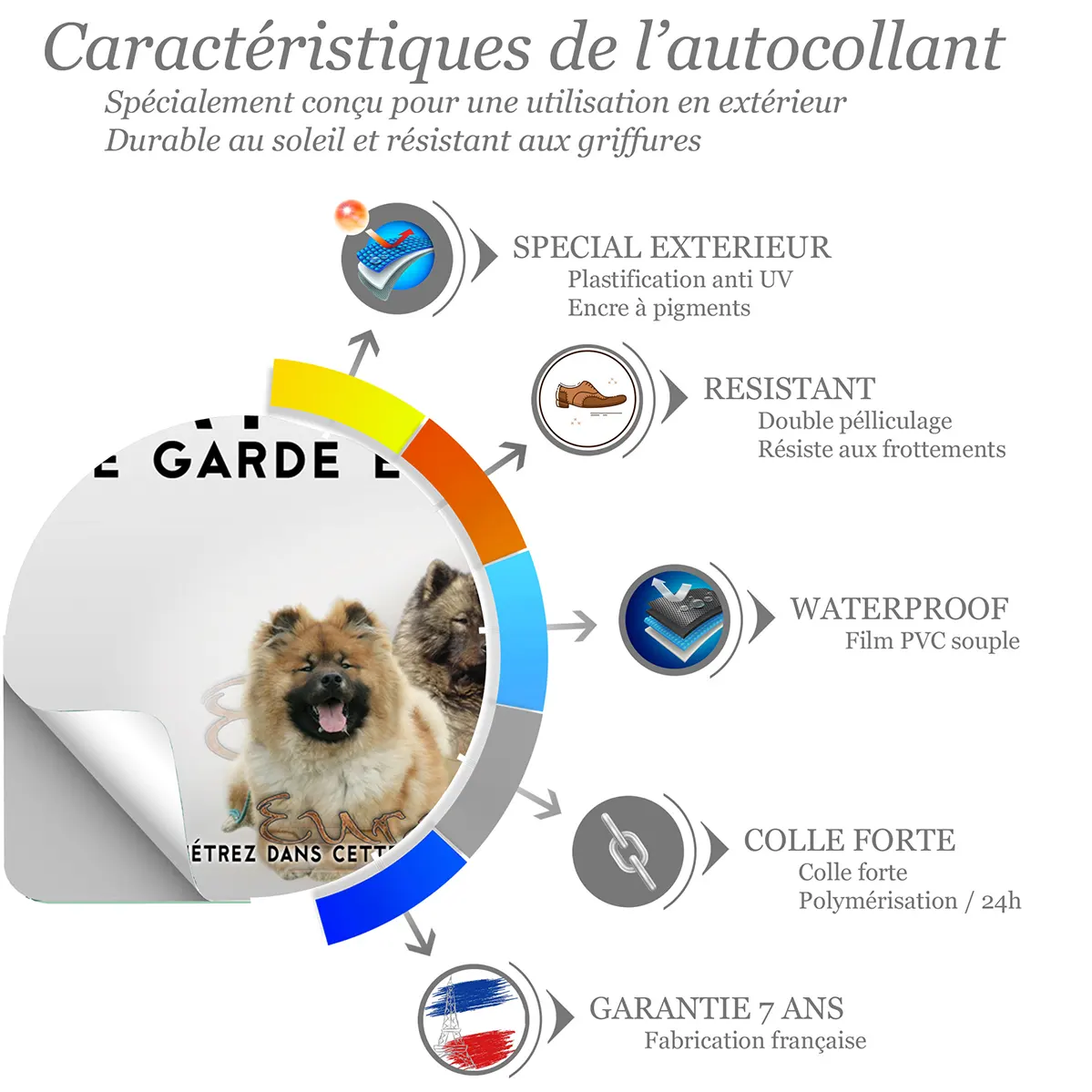 Sticker Trois Eurasier avec différents pelages