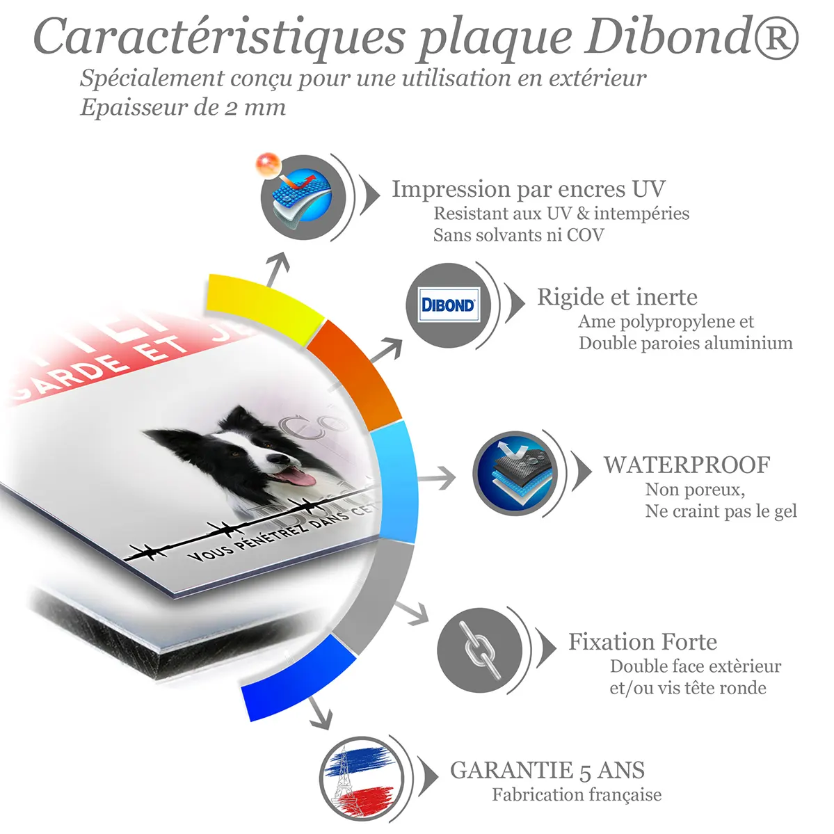 Panneau personnalise Trois Border Collies sur un fond verdoyant.