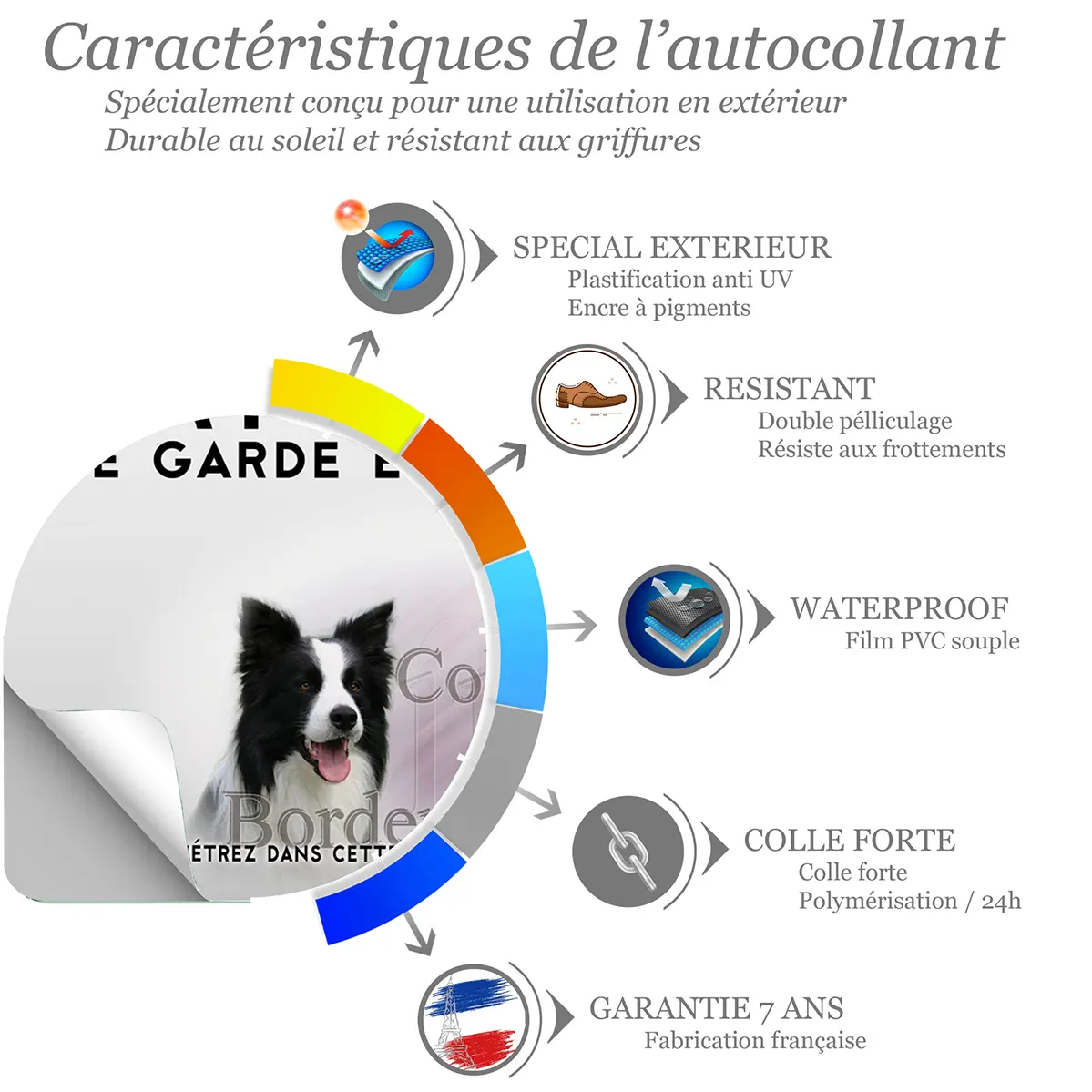 Sticker Trois Border Collies sur un fond verdoyant.