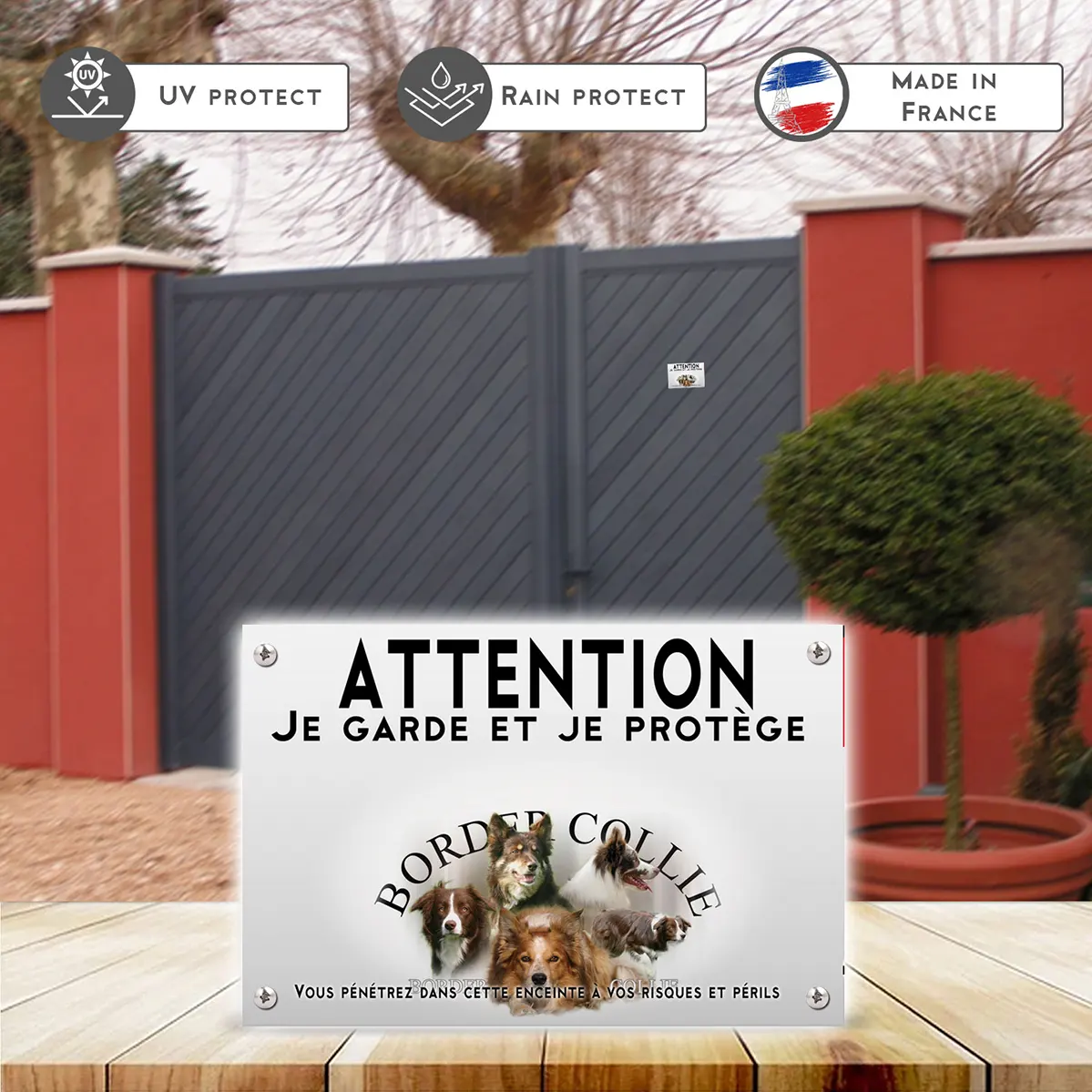 Plaques Collage de Border Collie en différentes poses