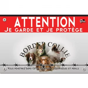Signalisation personnalisee Collage de Border Collie en différentes poses