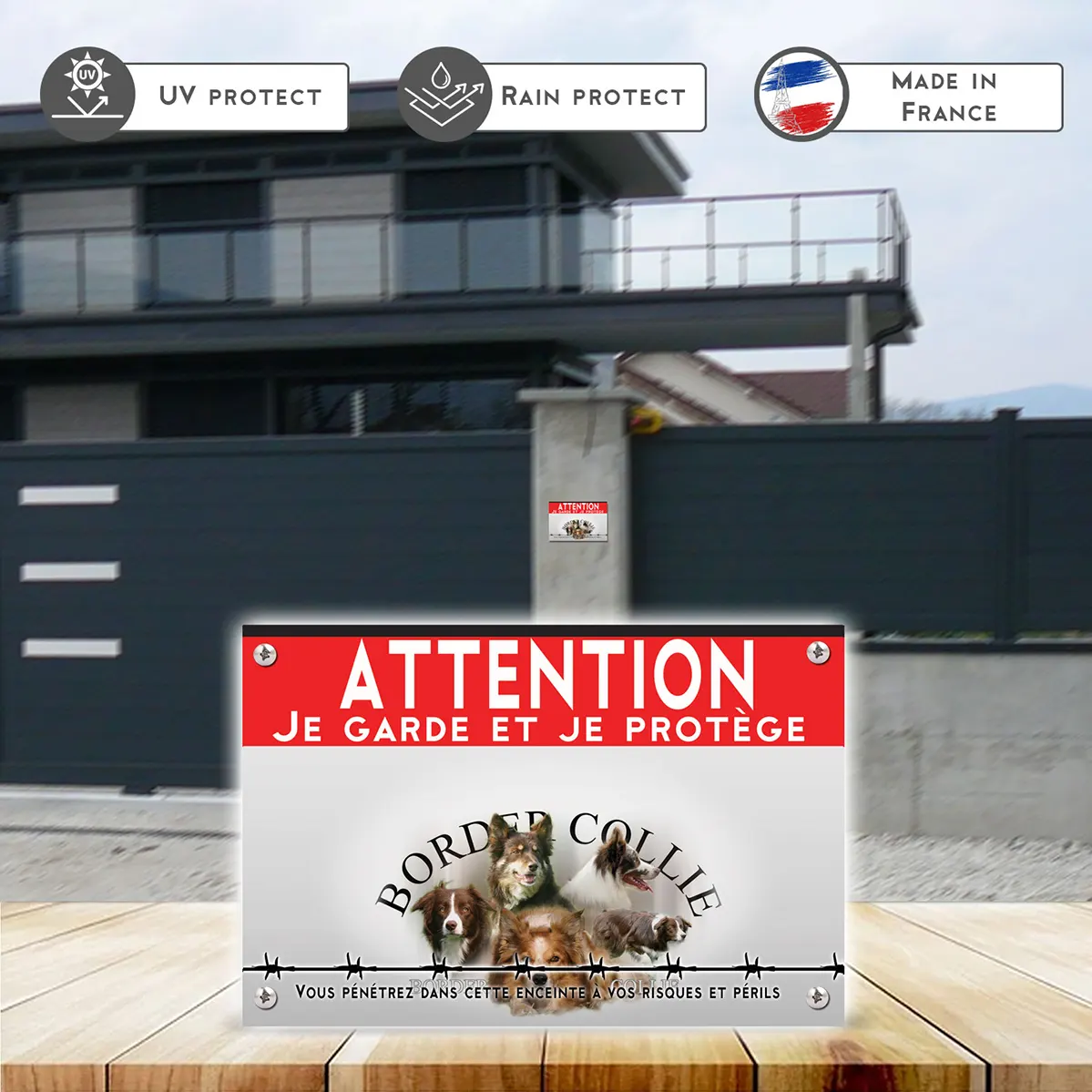 Grande pancarte Collage de Border Collie en différentes poses