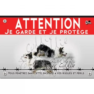 Signalisation personnalisee Image de Border Collie avec un fond transparent