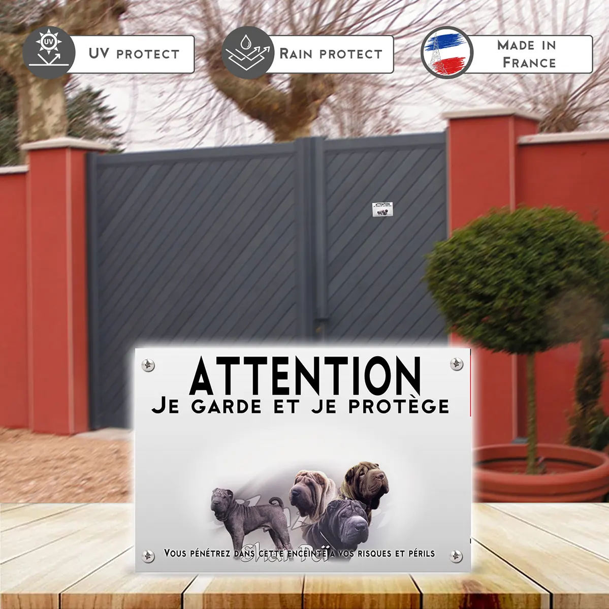 Plaques Quatre chiens Pei Shar en différentes poses et couleurs