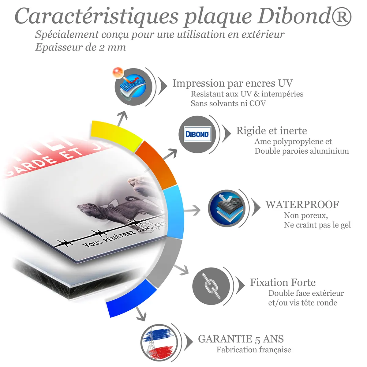 Panneau personnalise Quatre chiens Pei Shar en différentes poses et couleurs