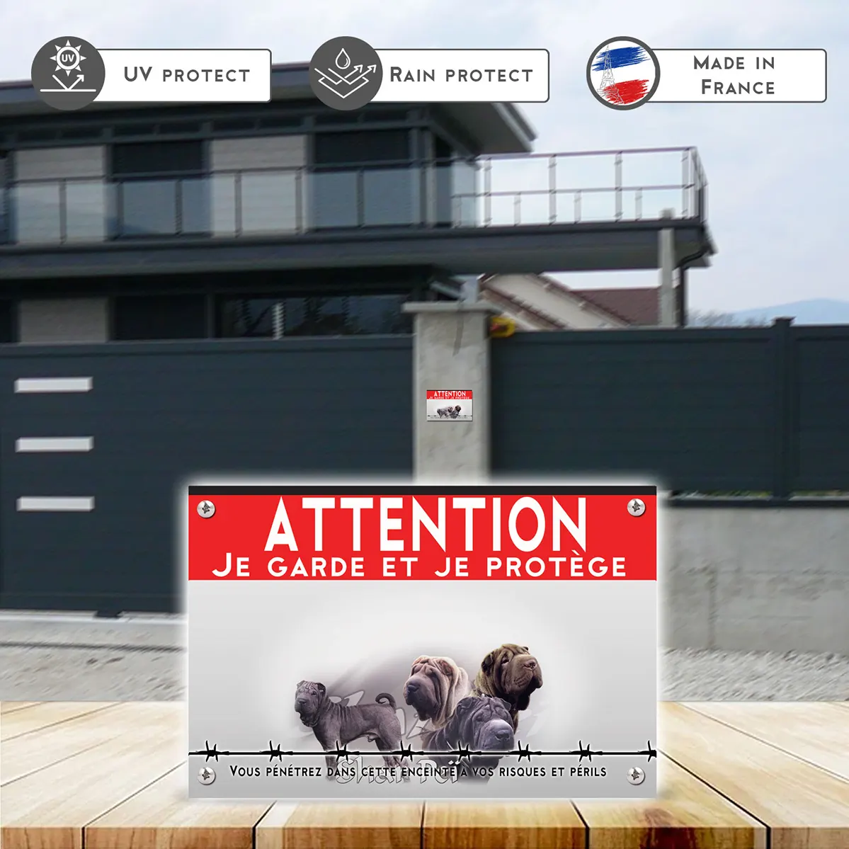 Grande pancarte Quatre chiens Pei Shar en différentes poses et couleurs