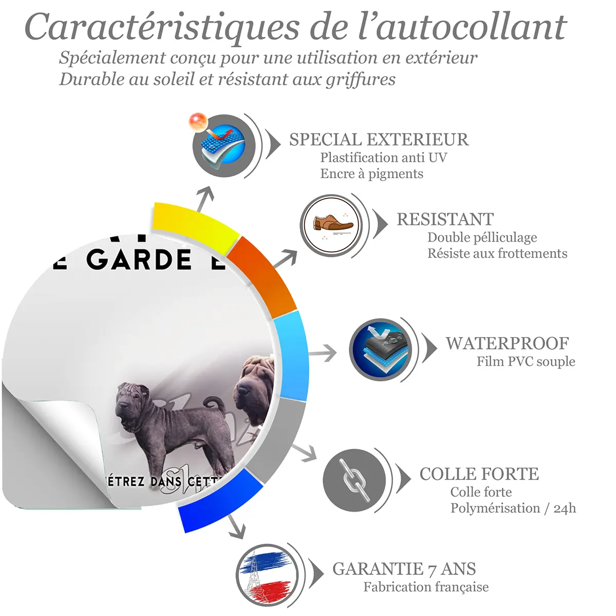 Sticker Quatre chiens Pei Shar en différentes poses et couleurs