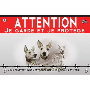 Signalisation personnalisee Trois portraits d'un Perro sin pelo del Perú avec un collier distinctif