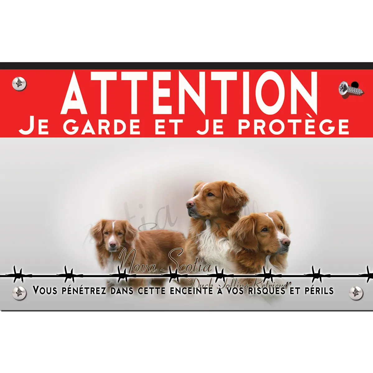 Signalisation personnalisee 3 chiens Nova Scotia Duck Tolling Retriever