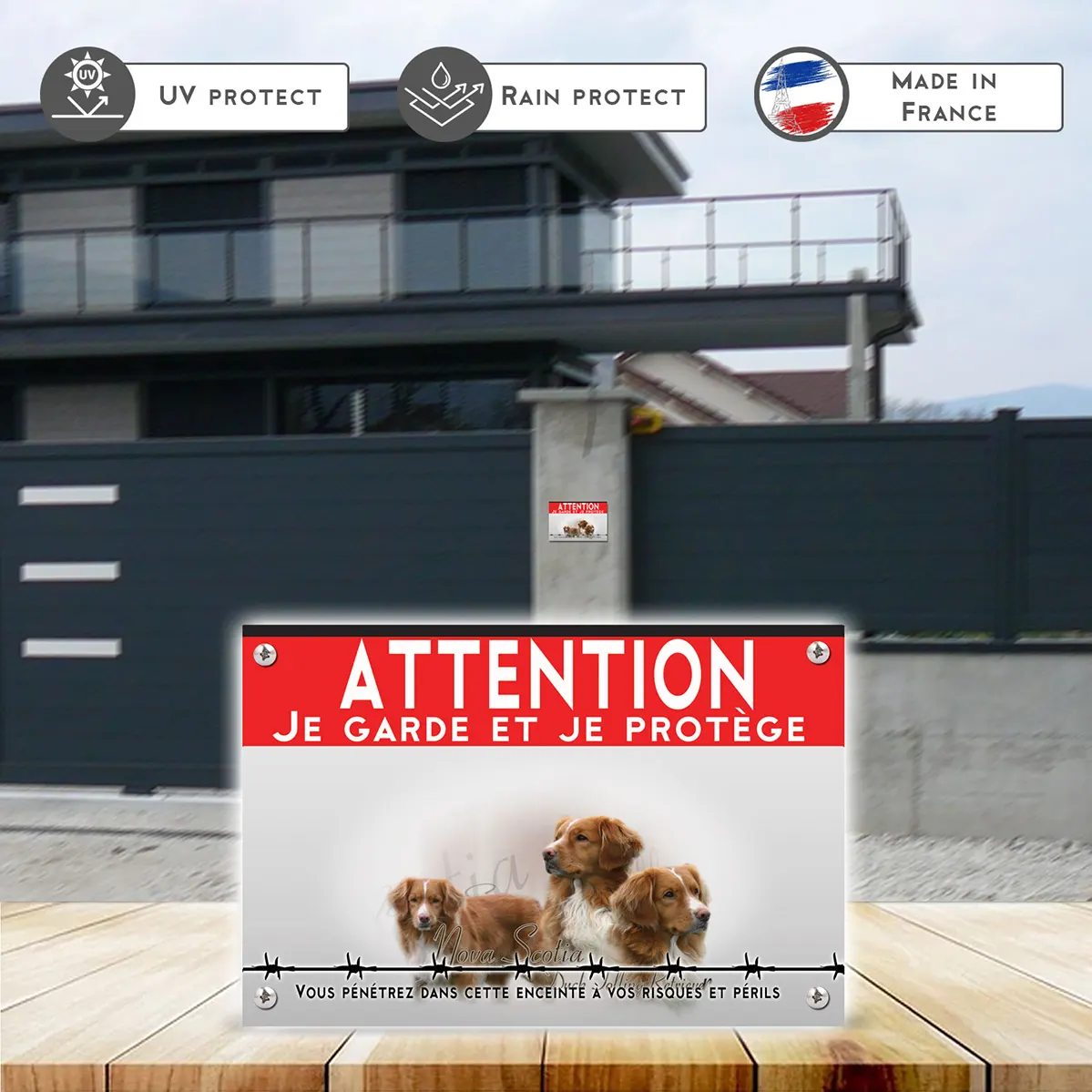 Grande pancarte 3 chiens Nova Scotia Duck Tolling Retriever