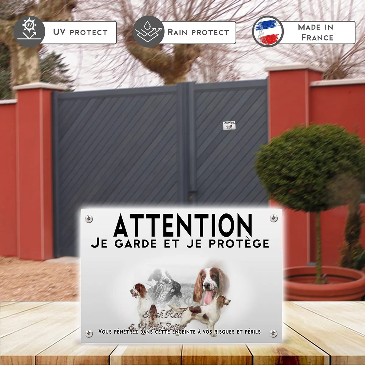 Plaques Irish Red and White Setter en portrait et entier