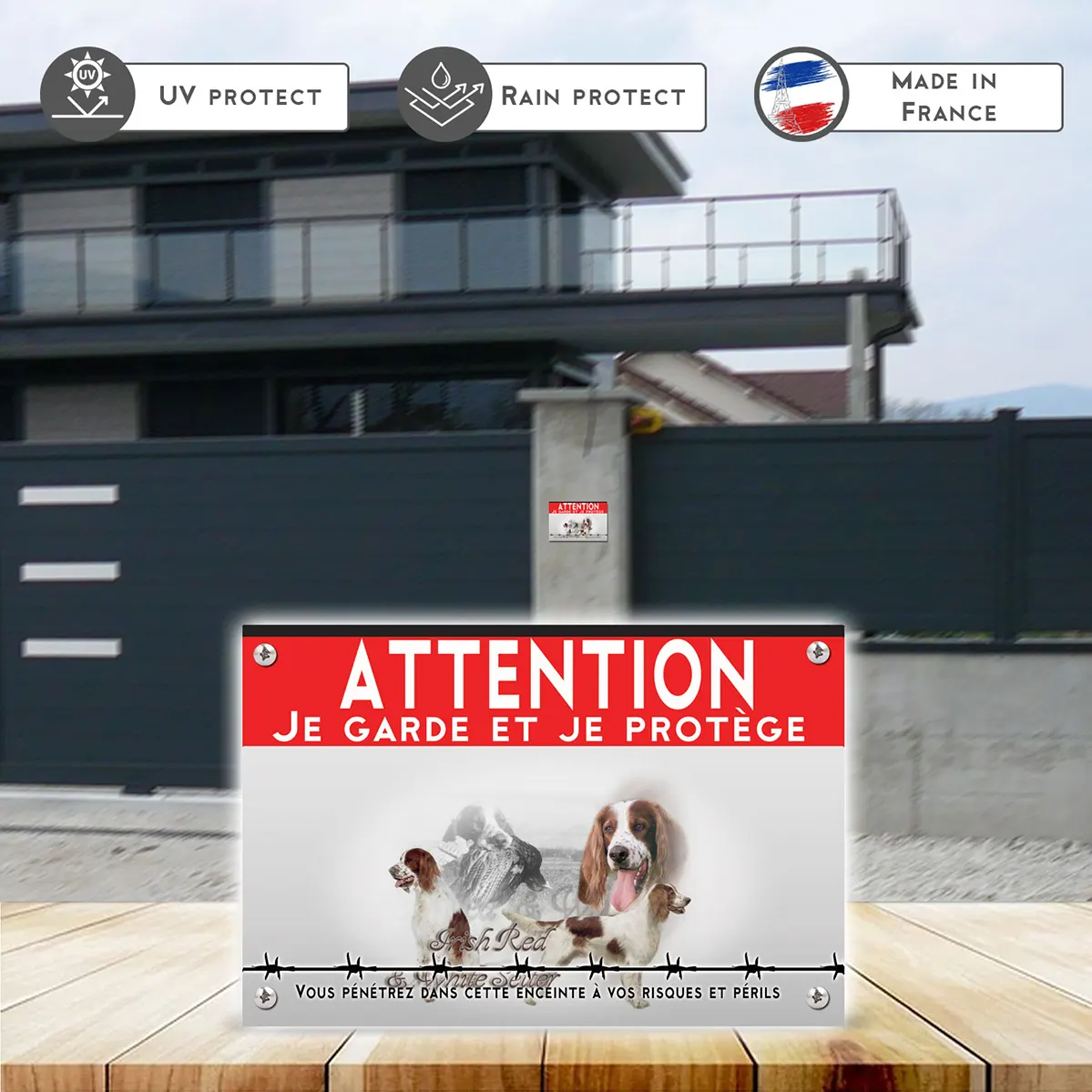 Grande pancarte Irish Red and White Setter en portrait et entier