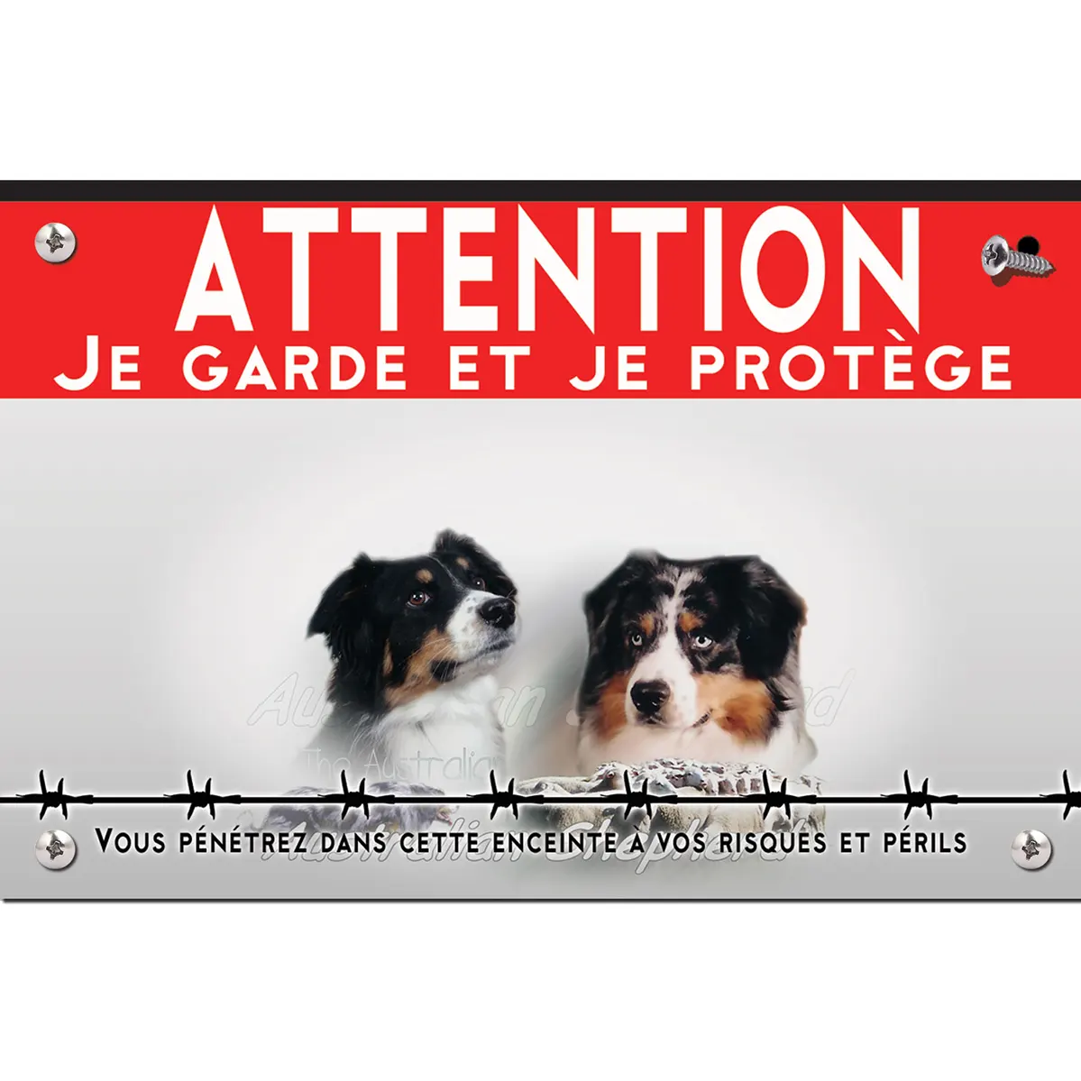 Signalisation personnalisee Portraits de chiens Australian Shepherd avec troupeau de moutons en fond